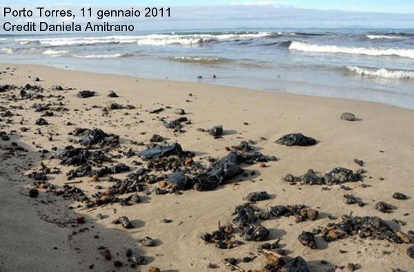 Porto Torres oil spill